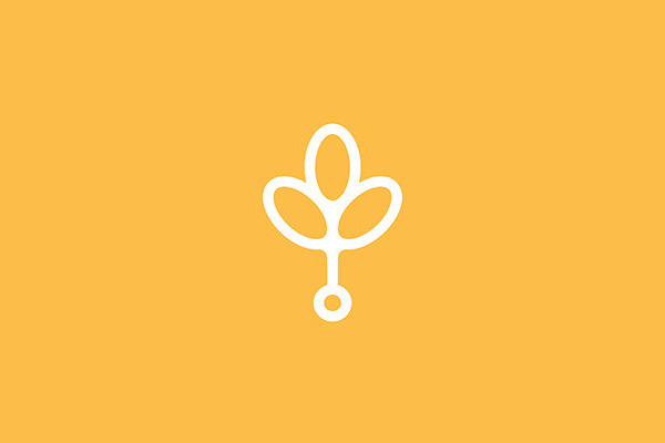 深圳VI設計分享之波蘭Branch Creative創(chuàng)意公司LOGO