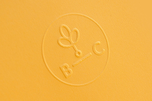 深圳VI設計分享之波蘭Branch Creative創(chuàng)意公司LOGO