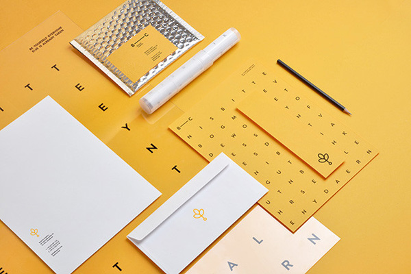 深圳VI設計分享之波蘭Branch Creative創(chuàng)意公司LOGO