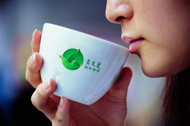 內蒙古錫林浩特市旅游品牌形象發(fā)布----深圳品牌設計