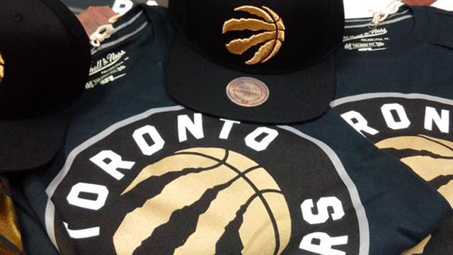 多倫多猛龍隊（Toronto Raptors）品牌VI發(fā)布----深圳品牌設計