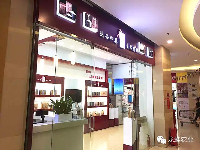龍蛙品牌體驗店成功落地深圳