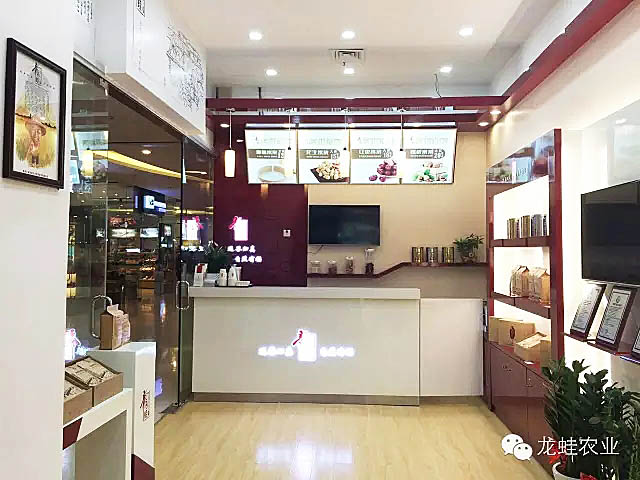龍蛙品牌體驗店成功落地深圳