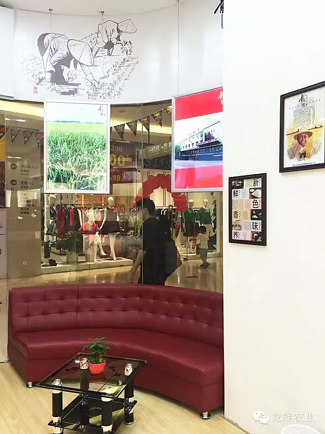 龍蛙品牌體驗店成功落地深圳