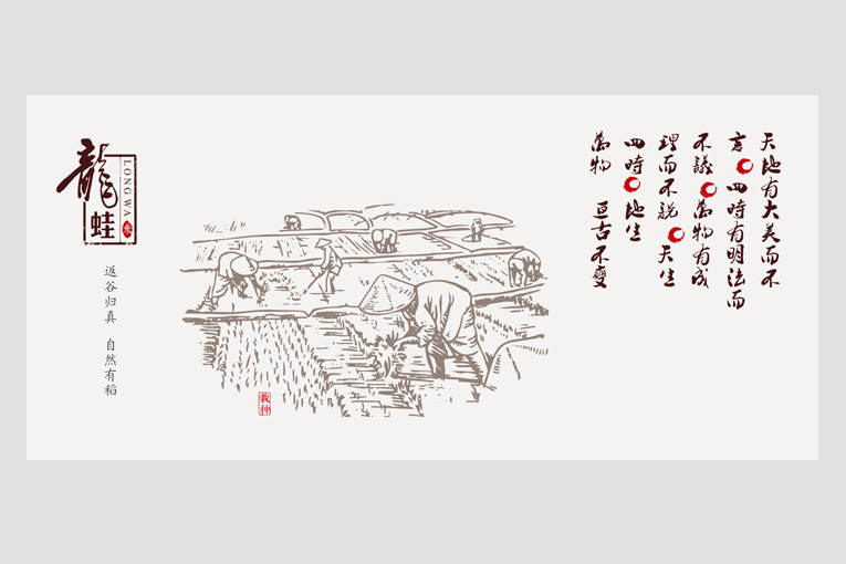 龍蛙農業(yè)VI設計
