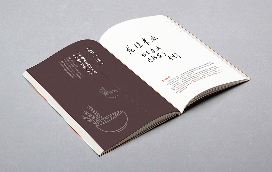 企業(yè)宣傳冊設計